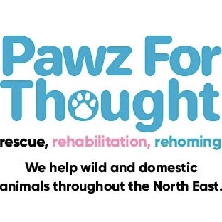 Pawz For Thought