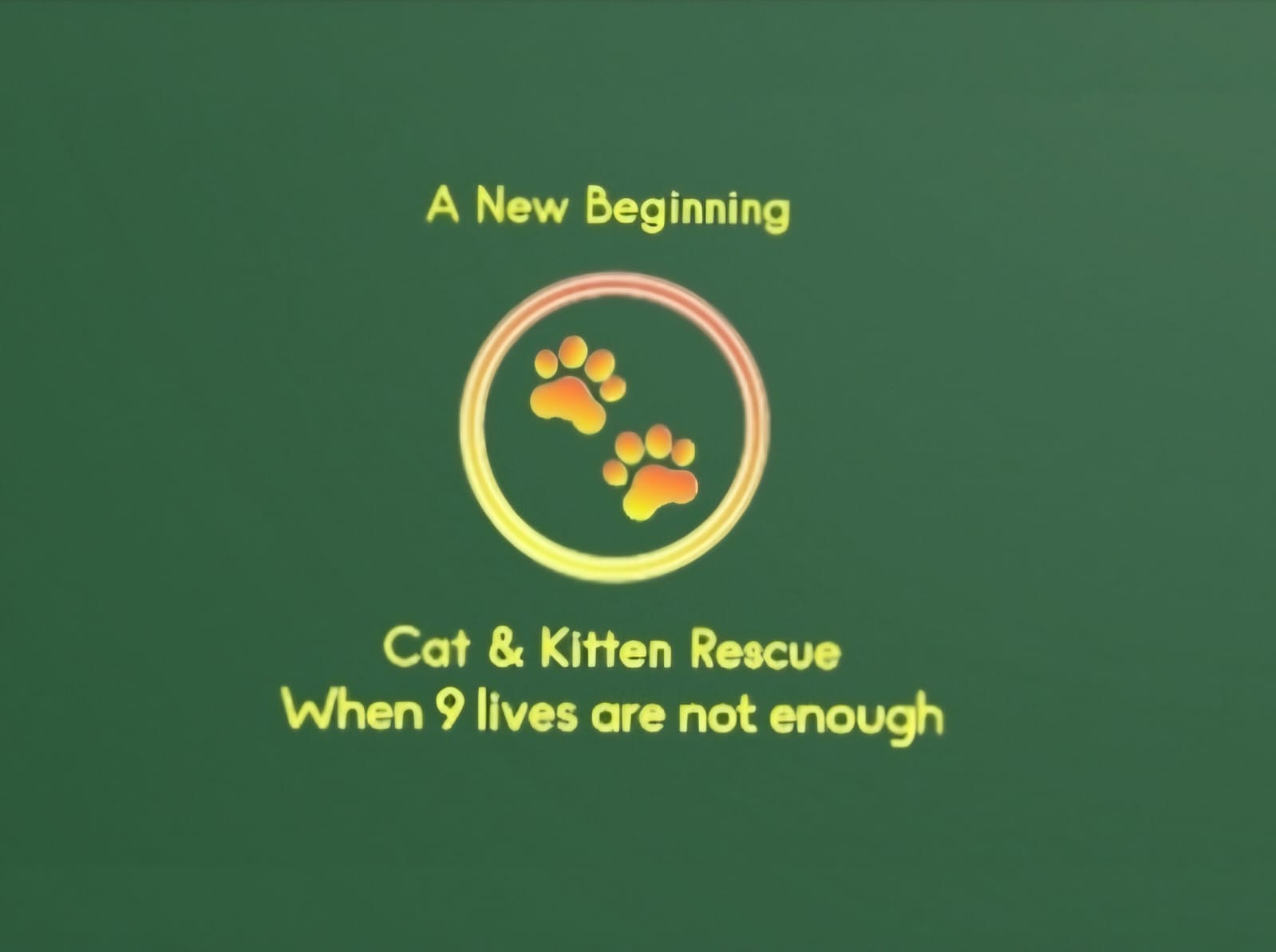 A New Beginning CR